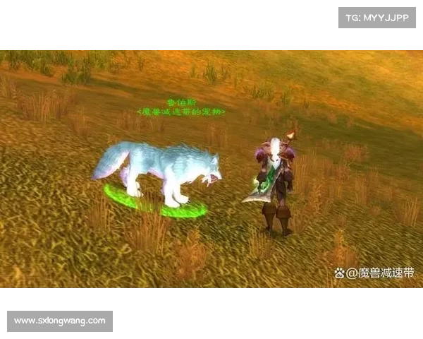 魔兽世界怀旧服:宝宝进化,征服坐骑